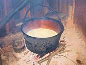bac�wka w bia�ce tatrza�skiej