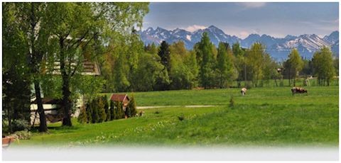 bia�ka tatrza�ska