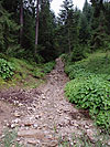Dolina Chocho�owska