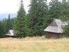 Rusinowa Polana